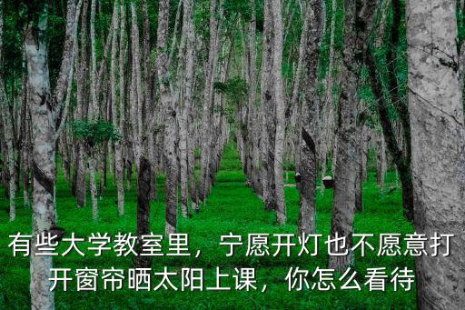 有些大學(xué)教室里，寧愿開燈也不愿意打開窗簾曬太陽上課，你怎么看待