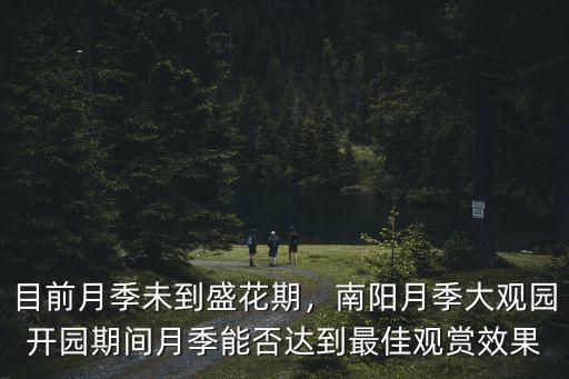 目前月季未到盛花期，南陽月季大觀園開園期間月季能否達到最佳觀賞效果