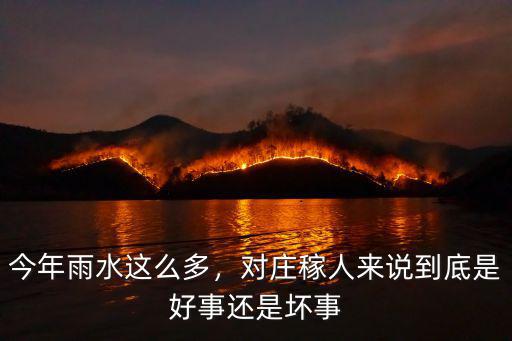 今年雨水這么多，對莊稼人來說到底是好事還是壞事
