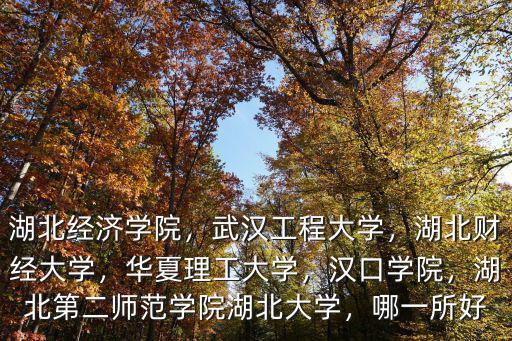 湖北經(jīng)濟(jì)學(xué)院，武漢工程大學(xué)，湖北財(cái)經(jīng)大學(xué)，華夏理工大學(xué)，漢口學(xué)院，湖北第二師范學(xué)院湖北大學(xué)，哪一所好