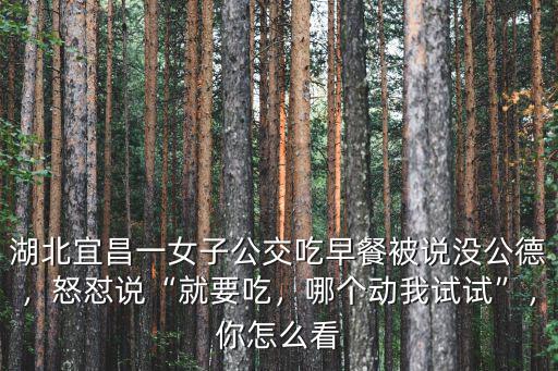 湖北宜昌一女子公交吃早餐被說沒公德，怒懟說“就要吃，哪個動我試試”，你怎么看