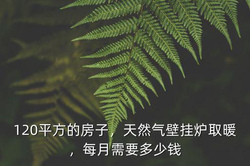 邯鄲天然氣取暖一天多少錢,天然氣壁掛爐取暖
