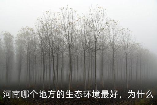 河南哪個地方的生態環境最好，為什么