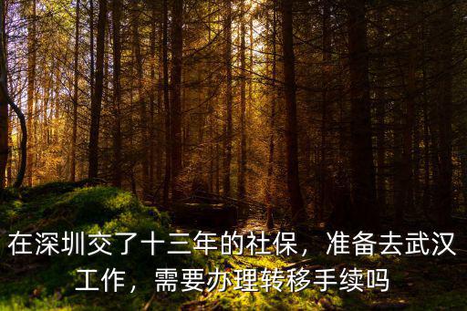 在深圳交了十三年的社保，準(zhǔn)備去武漢工作，需要辦理轉(zhuǎn)移手續(xù)嗎