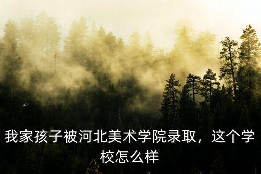 考河北美術(shù)學(xué)院要多少分,河北美術(shù)聯(lián)考249分