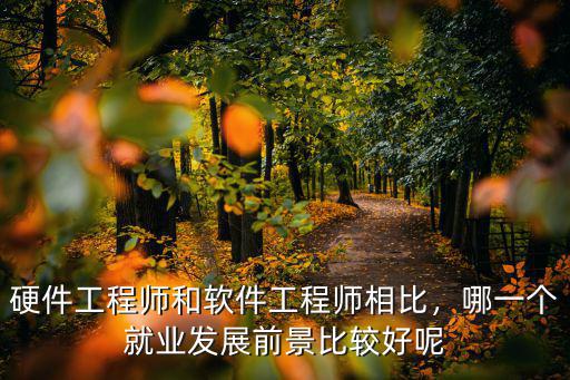 硬件工程師和軟件工程師相比，哪一個就業發展前景比較好呢