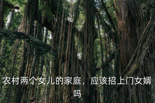 湖北天門招女婿上門是怎么樣的,有沒有人招上門女婿的