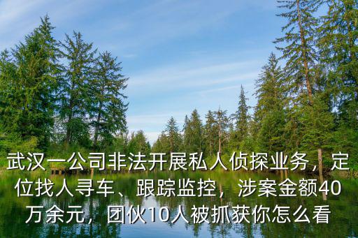 武漢一公司非法開展私人偵探業務，定位找人尋車、跟蹤監控，涉案金額40萬余元，團伙10人被抓獲你怎么看