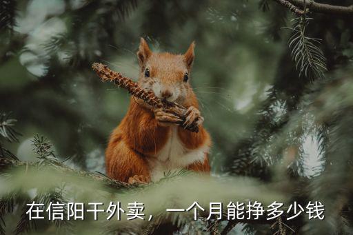 在信陽干外賣，一個月能掙多少錢