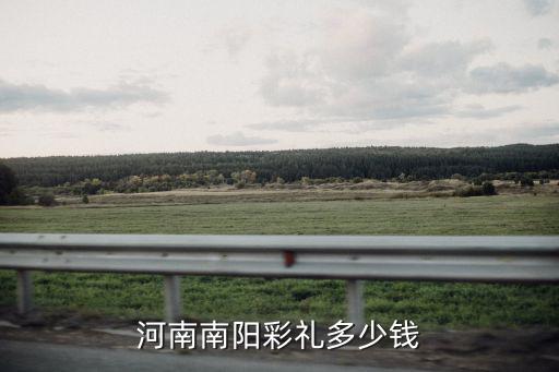 河南av3多少錢一輛,河南南陽彩禮多少錢