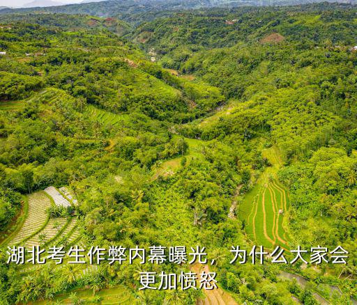 湖北考生怎么把手機(jī)帶考場(chǎng)的,考生是如何把手機(jī)帶進(jìn)考場(chǎng)的