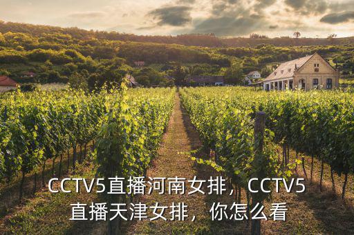 CCTV5直播河南女排，CCTV5 直播天津女排，你怎么看