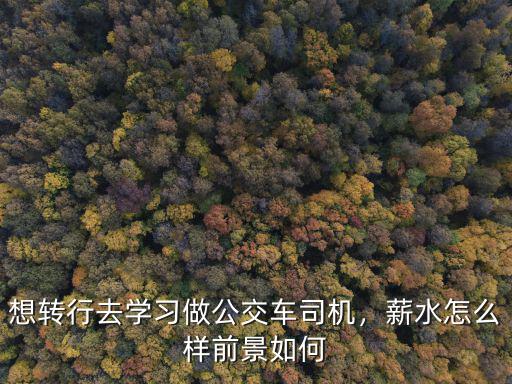武漢公交車司機(jī)工資怎么樣,現(xiàn)在在武漢當(dāng)公交司機(jī)怎么樣