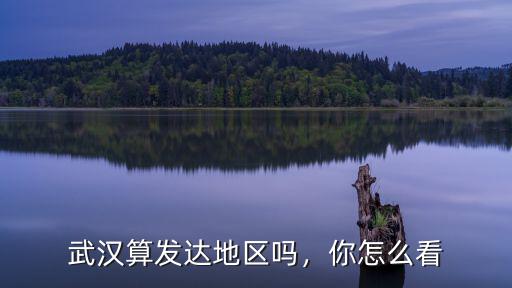 武漢算發達地區嗎，你怎么看