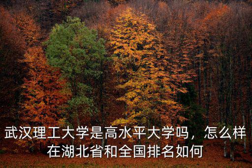 武漢理工大學是高水平大學嗎，怎么樣在湖北省和全國排名如何
