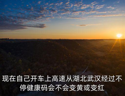 現在自己開車上高速從湖北武漢經過不停健康碼會不會變黃或變紅
