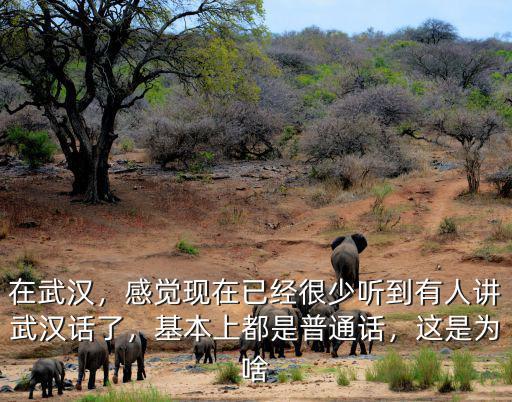 在武漢，感覺現(xiàn)在已經(jīng)很少聽到有人講武漢話了，基本上都是普通話，這是為啥