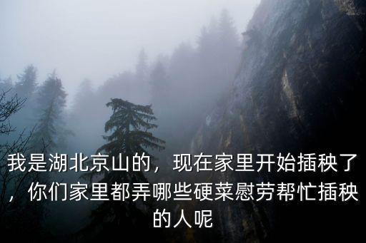 我是湖北京山的，現在家里開始插秧了，你們家里都弄哪些硬菜慰勞幫忙插秧的人呢