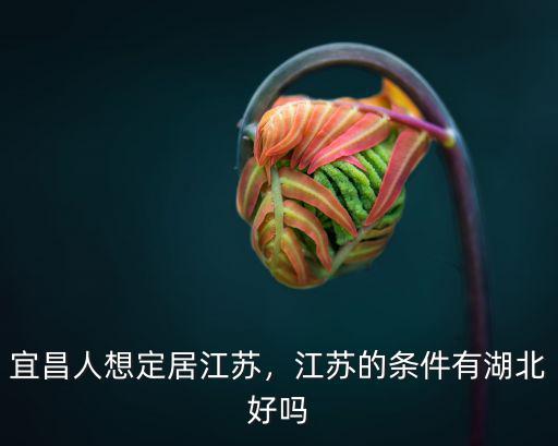 宜昌人想定居江蘇，江蘇的條件有湖北好嗎
