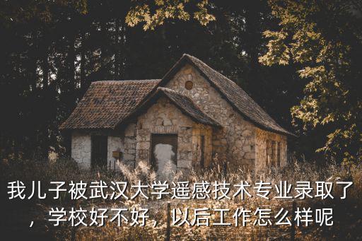 我兒子被武漢大學遙感技術專業錄取了，學校好不好，以后工作怎么樣呢
