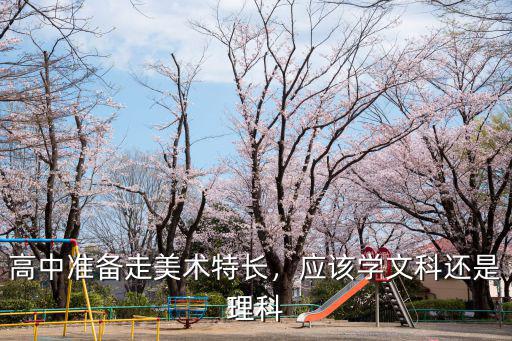 高中準備走美術特長，應該學文科還是理科