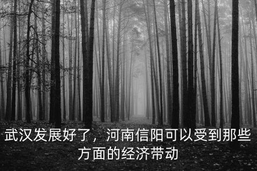 武漢發展好了，河南信陽可以受到那些方面的經濟帶動