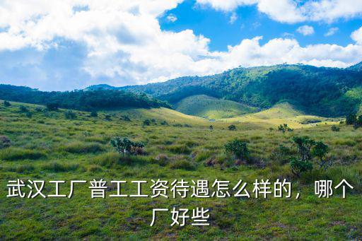 武漢工廠普工工資待遇怎么樣的，哪個廠好些