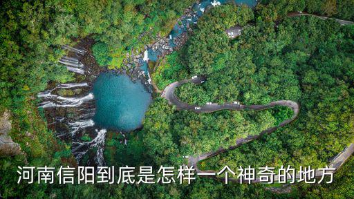 河南信陽到底是怎樣一個神奇的地方