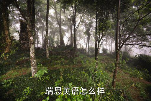 瑞思英語怎么樣