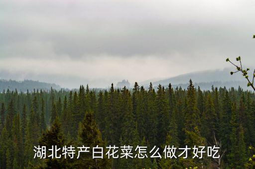 湖北特產白花菜怎么做才好吃