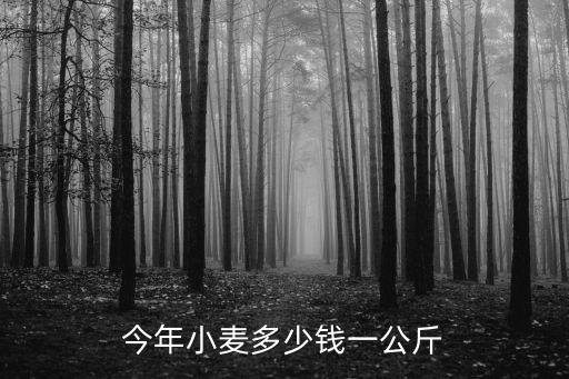 今年小麥多少錢一公斤