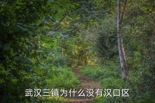 武漢漢口區怎么消失了,武漢三鎮為什么沒有漢口區