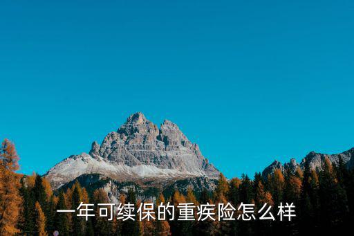 武漢重疾險怎么樣,一年可續保的重疾險怎么樣
