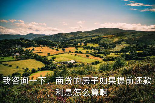 武漢商貸提前還款后怎么計算,商貸的房子如果提前還款