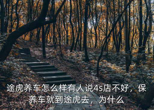途虎養(yǎng)車(chē)(武漢雅安街店)怎么樣,途虎養(yǎng)車(chē)怎么樣