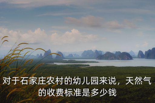 對于石家莊農(nóng)村的幼兒園來說，天然氣的收費標(biāo)準(zhǔn)是多少錢