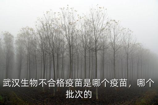 湖北疫苗批次怎么查,疫苗怎么查生產廠家