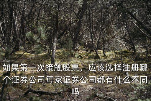 如果第一次接觸股票，應該選擇注冊哪個證券公司每家證券公司都有什么不同嗎