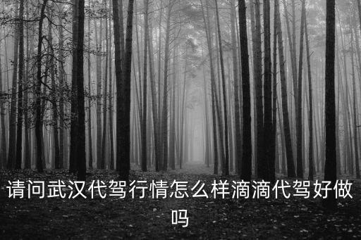 武漢代駕報名滿了怎么辦,請問武漢代駕行情怎么樣