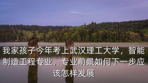 我家孩子今年考上武漢理工大學，智能制造工程專業(yè)，專業(yè)前景如何下一步應該怎樣發(fā)展
