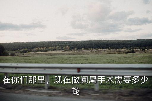在你們那里，現在做闌尾手術需要多少錢