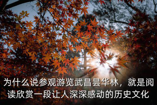 為什么說參觀游覽武昌曇華林，就是閱讀欣賞一段讓人深深感動的歷史文化