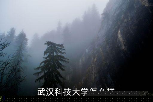 武漢科技大學怎么樣