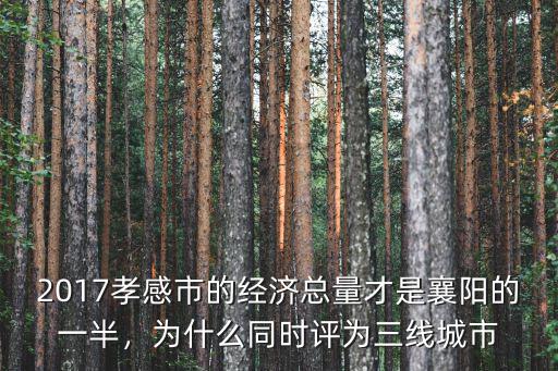 2017孝感市的經濟總量才是襄陽的一半，為什么同時評為三線城市