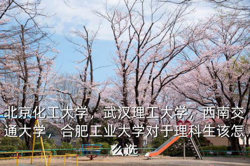 北京化工大學，武漢理工大學，西南交通大學，合肥工業大學對于理科生該怎么選