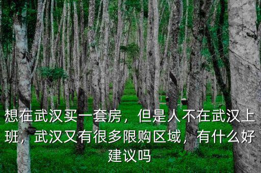 武漢買房怎么避坑,想在武漢買房