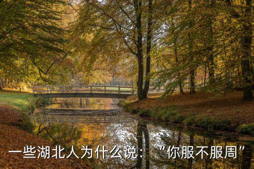 一些湖北人為什么說：“你服不服周”