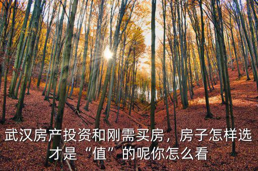 武漢房產(chǎn)投資和剛需買房，房子怎樣選才是“值”的呢你怎么看