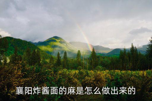 襄陽雜醬面怎么做視頻,襄陽牛肉面怎么做