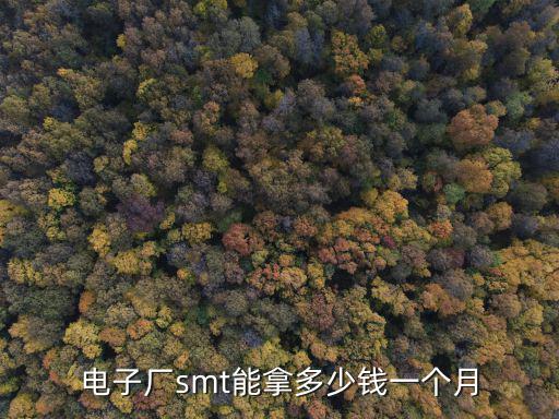 電子廠smt能拿多少錢一個月